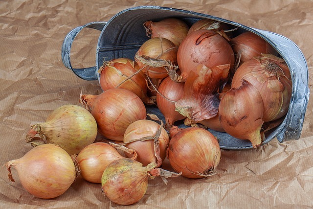 NEOBYČEJNĚ OBYČEJNÝ LÉK PRO CELOU RODINU. ZNÁTE SÍLU CIBULE?